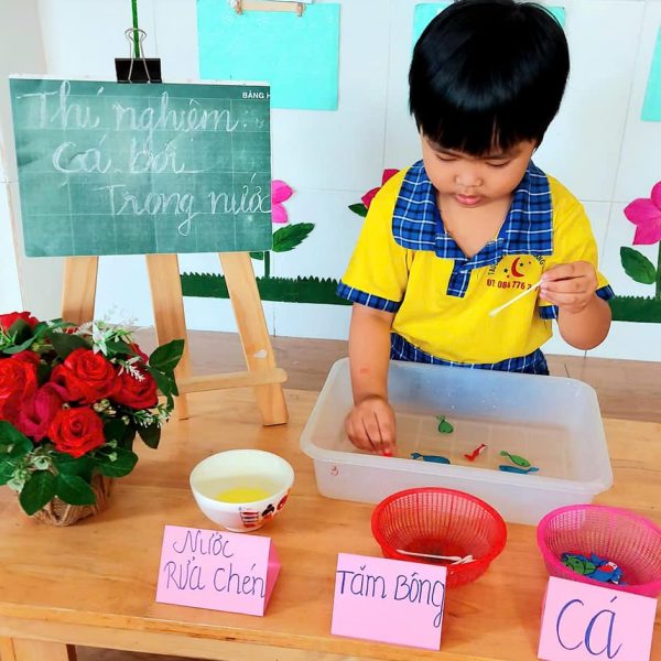 469030555_1137931728335571_1261112834289576802_n 469030555_1137931728335571_1261112834289576802_n